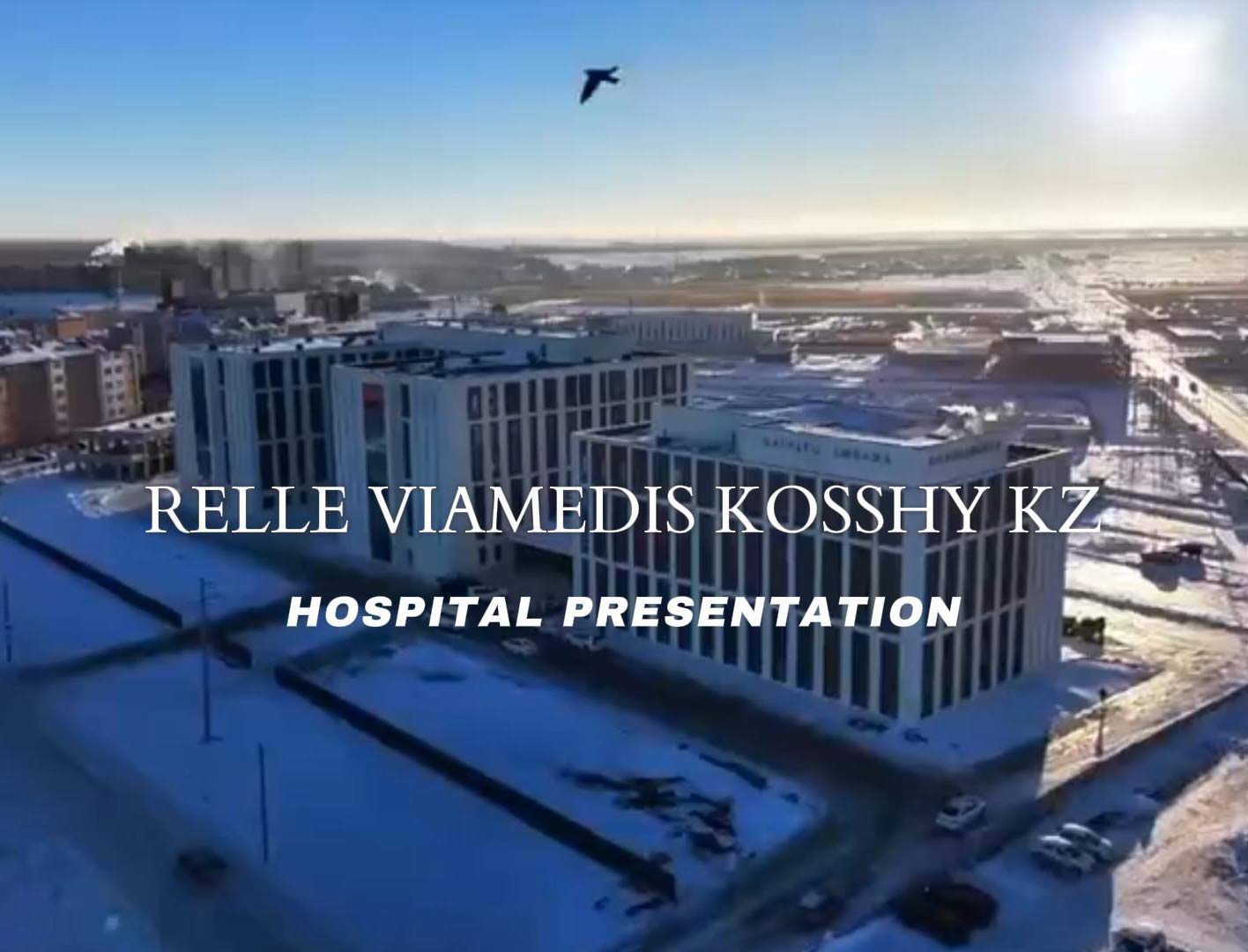 RELLE VIAMEDIS KOSSHY KZ HOSPITAL PRESENTATION